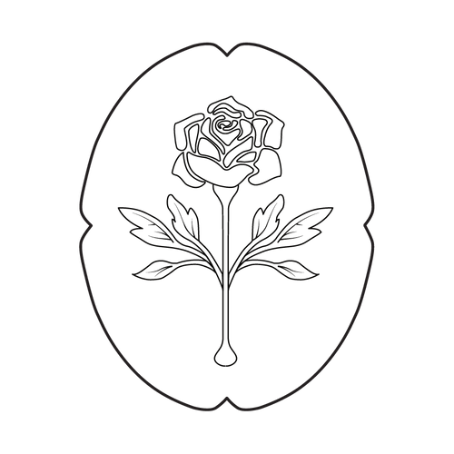 Rosette Studio
